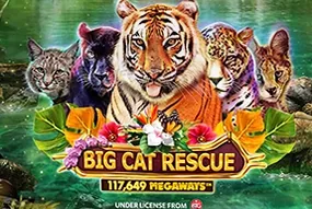 Big Cat Rescue Megaways