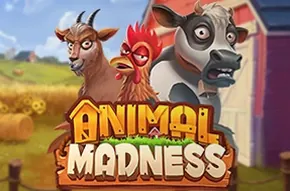 Animal Madness