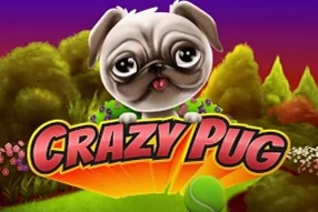 Crazy Pug