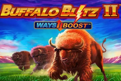 Buffalo Blitz 2